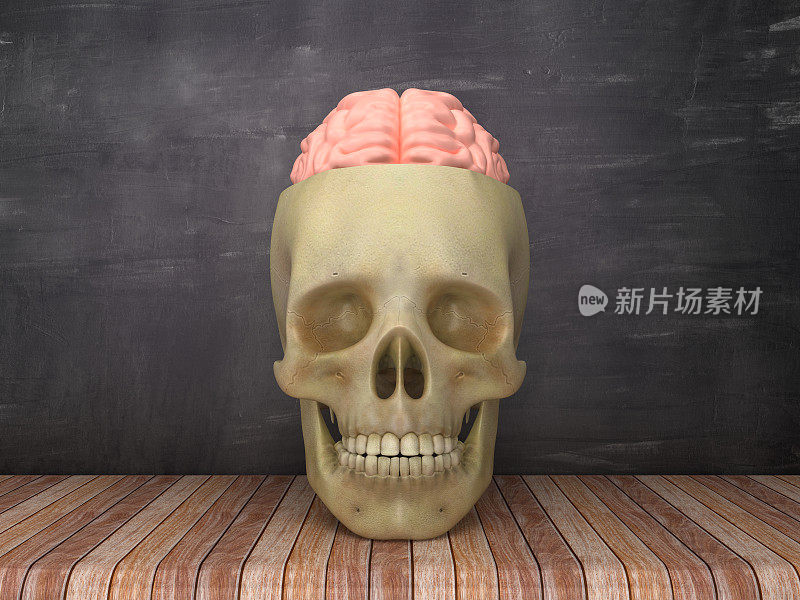 人类头骨与大脑在黑板背景- 3D渲染
